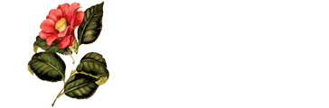 Camelia Suites